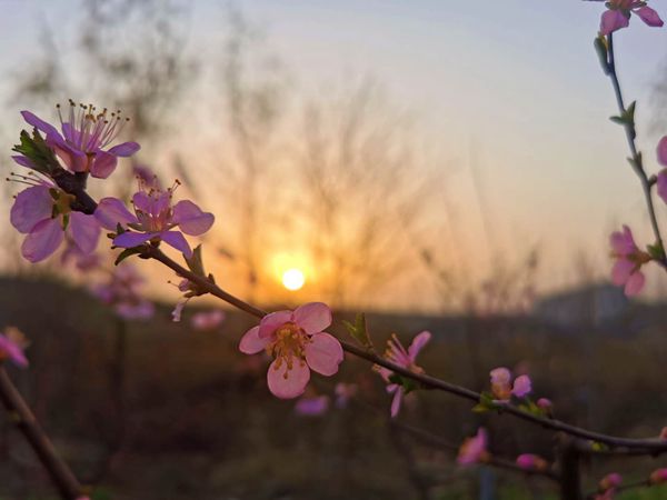 重山春已到 奮斗正當時21