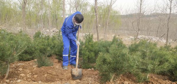 植樹綠化進(jìn)行時70