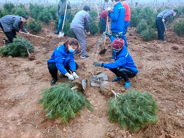 植樹綠化進(jìn)行時70