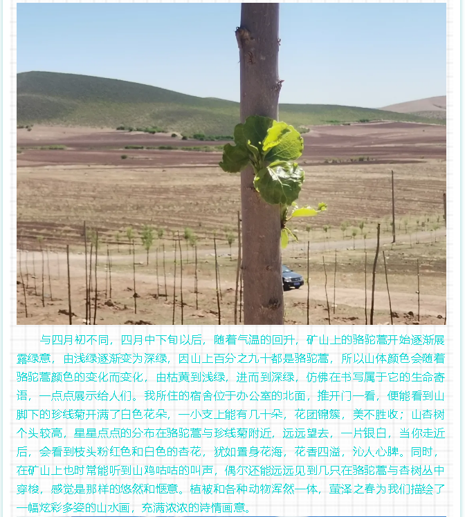 【員工風采】螢澤之春2