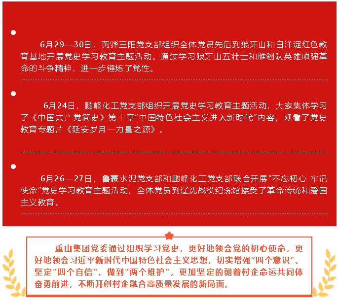 學(xué)黨史    悟思想    辦實(shí)事   開新局  六月份黨史學(xué)習(xí)教育簡報(bào)46