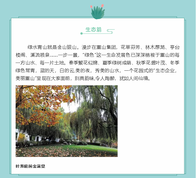 【鏡頭里的重山】邀您共賞重山之美！89