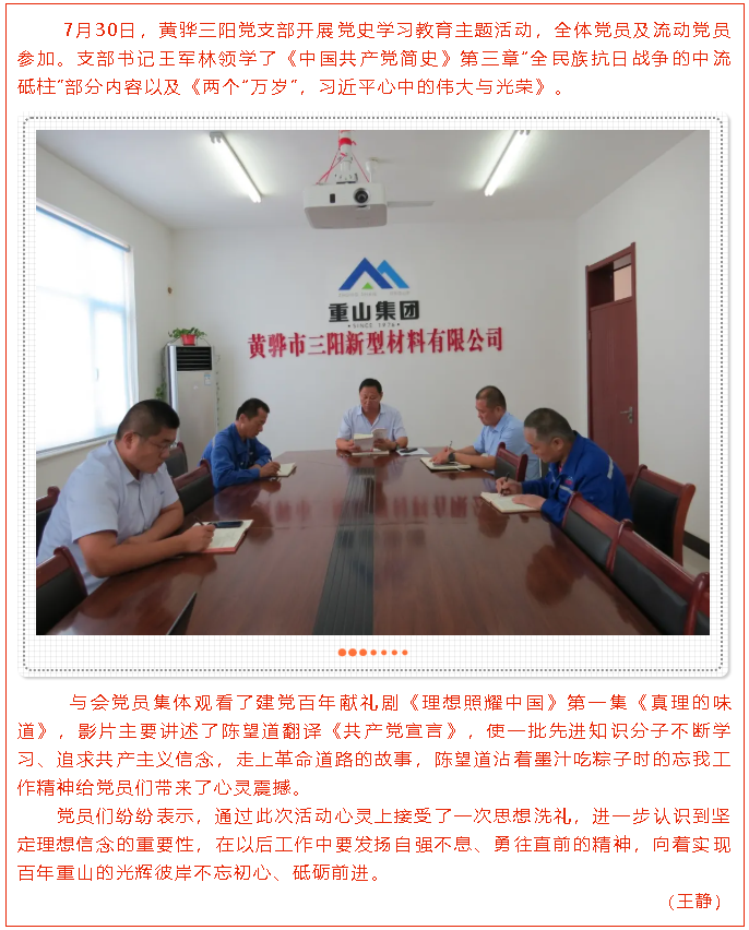 黃驊三陽黨支部開展黨史學習教育主題活動13