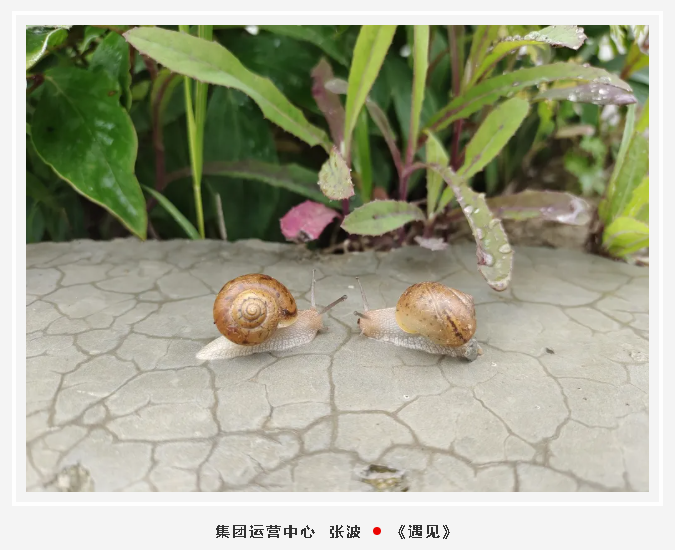【魅力重山·幸福南韓】書畫攝影作品展(一)42
