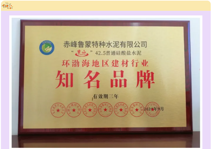 魯蒙公司榮獲2021年度環(huán)渤海地區(qū)建材行業(yè)“誠信企業(yè)”、“知名品牌”榮譽(yù)95