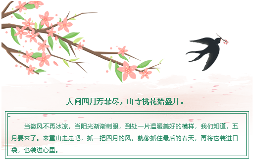 【重山影像】重山芳菲初夏近，萬物逢時皆美好